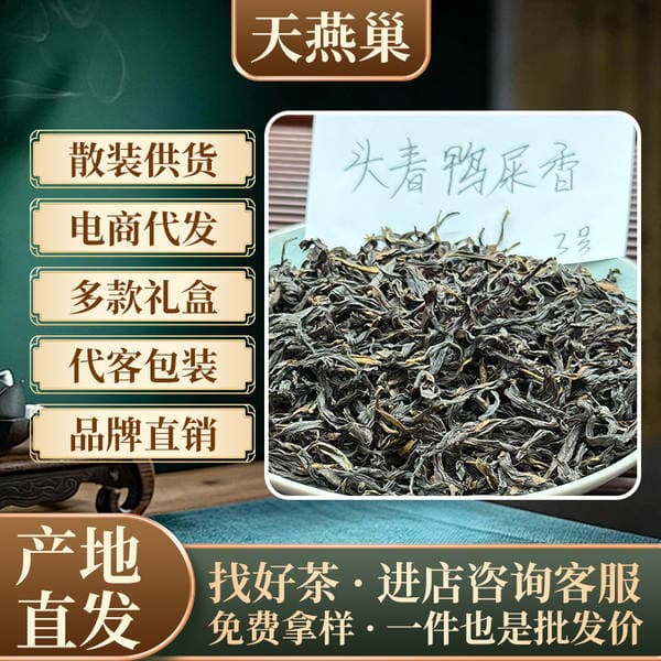 Early Spring Duck Shit Fragrance No. 3 New Tea, Chaozhou Phoenix Dancong Tea, Bagged and Canned, 0.5kg Packs of Dancong Tea