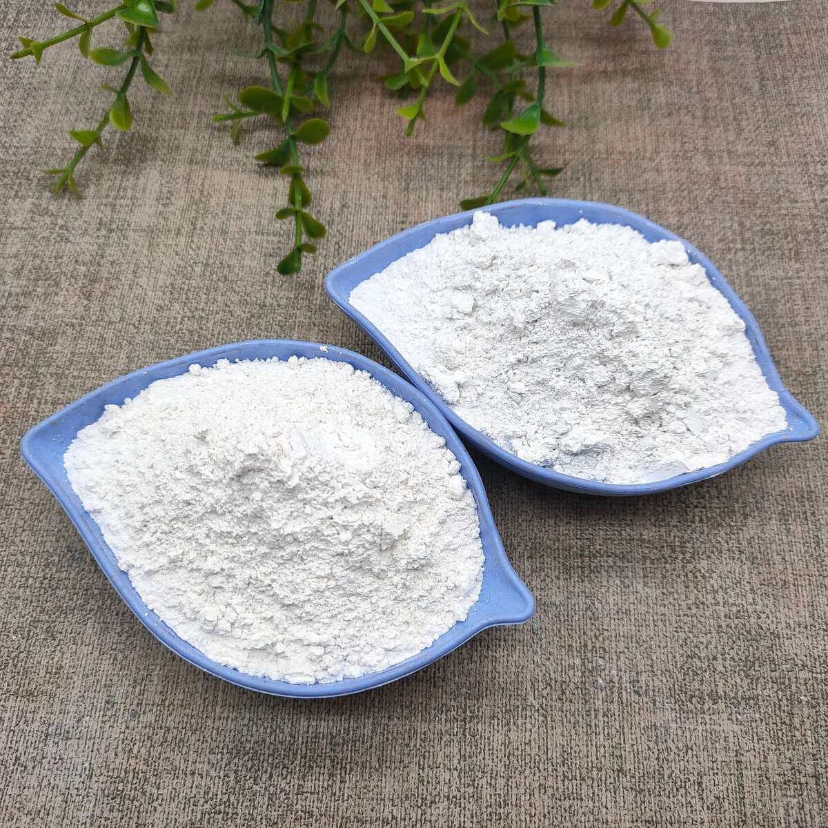 Supply of Diatomite Powder for Industrial Rubber Coatings, High-Temperature Resistant Ceramic Oils, and Glass Filling 2