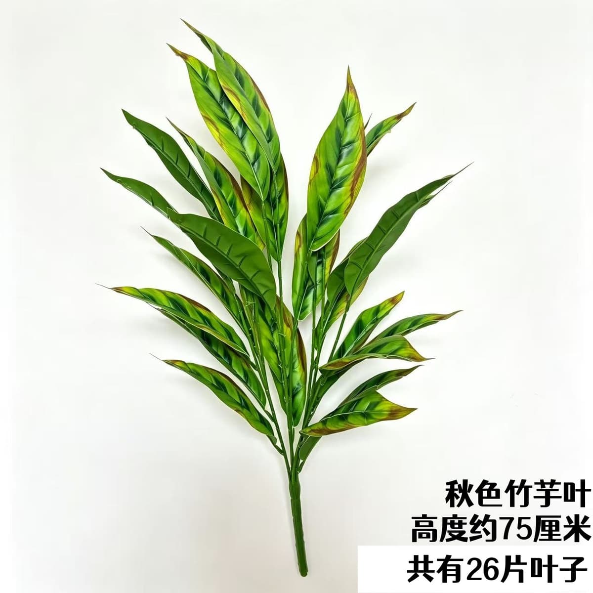 26 leaves autumn color taro leaves