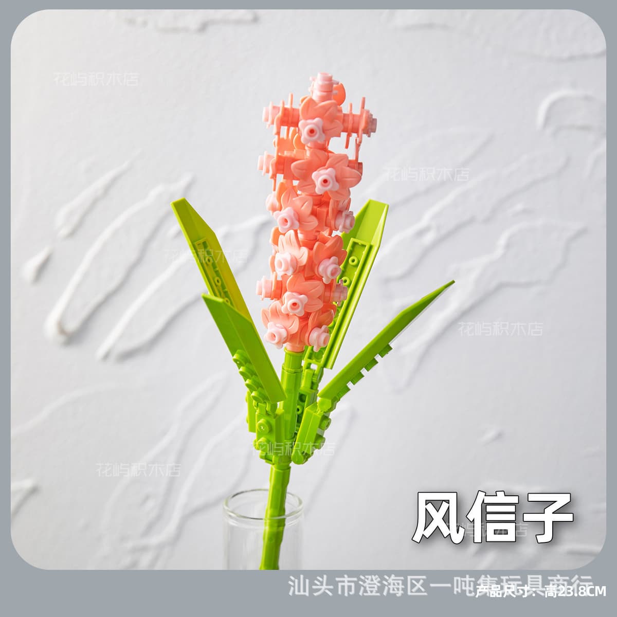 Hyacinth
