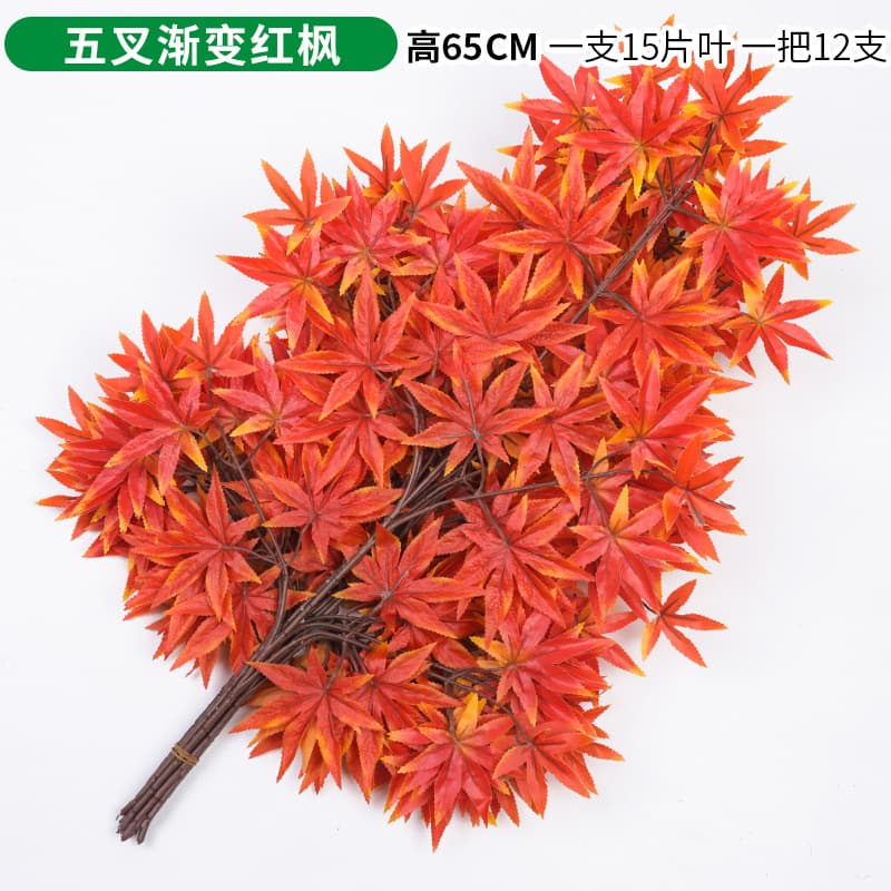 Five-fork Gradient red maple single