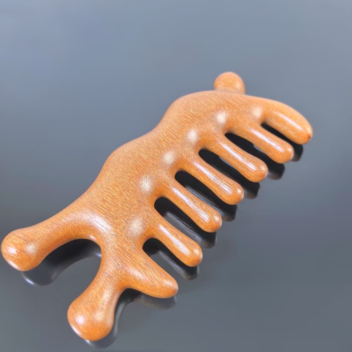 Dragon and phoenix sandalwood large snail massage comb