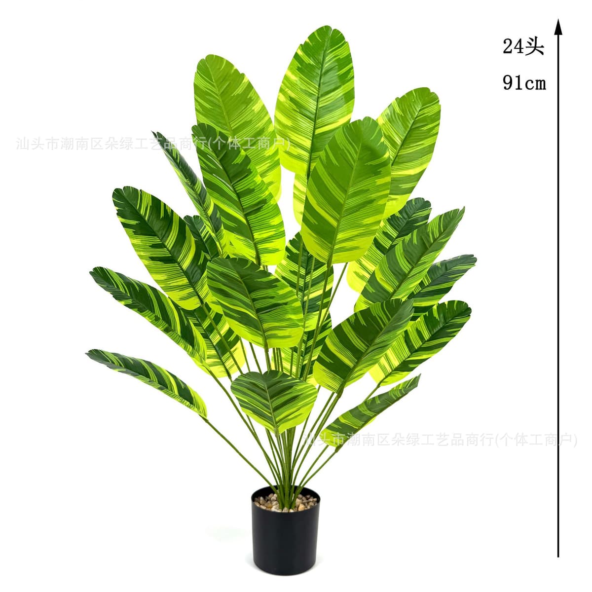24 green brocade banana leaves 91cm (excluding pot)