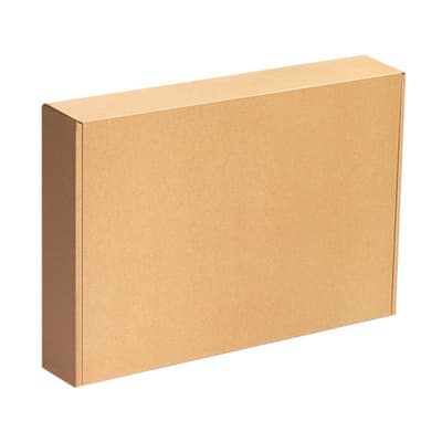 Kraft Cardboard Box