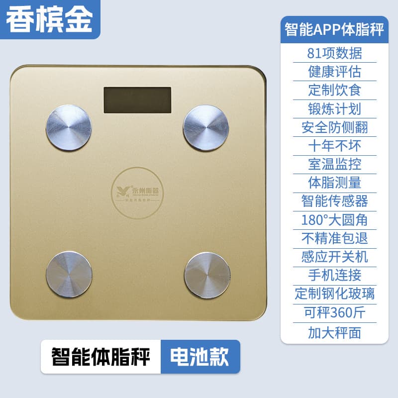 Champagne gold battery model [smart body fat scale battery model]