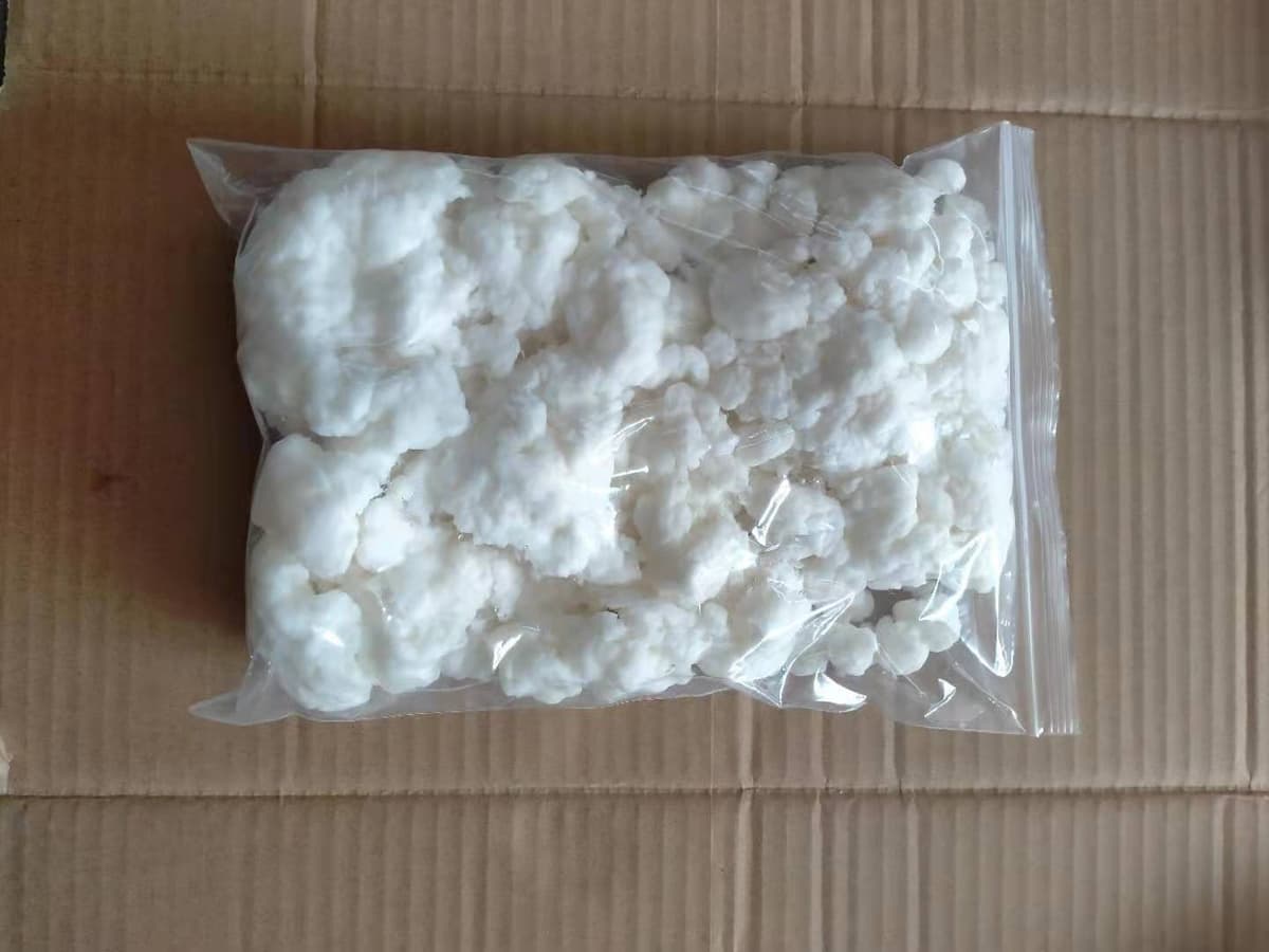 1000g dewatered pulp