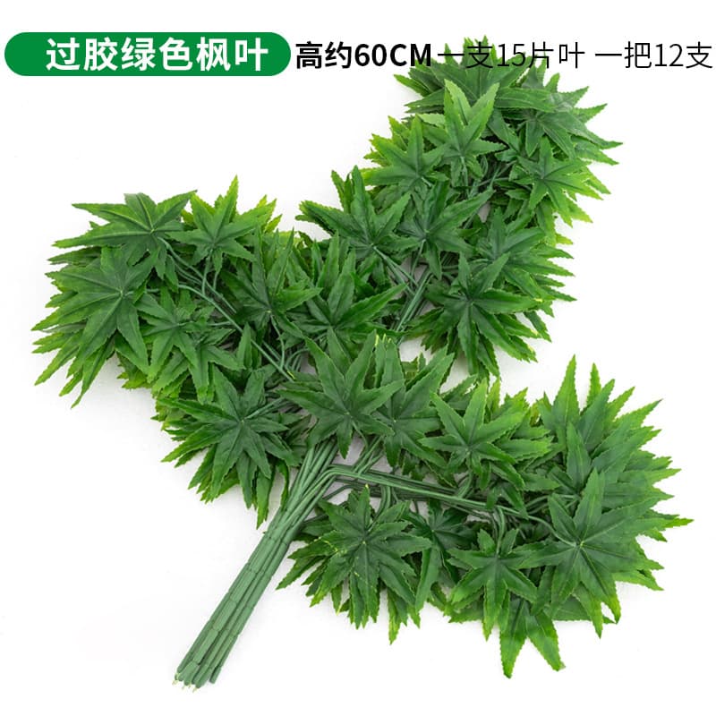 One green maple leaf
