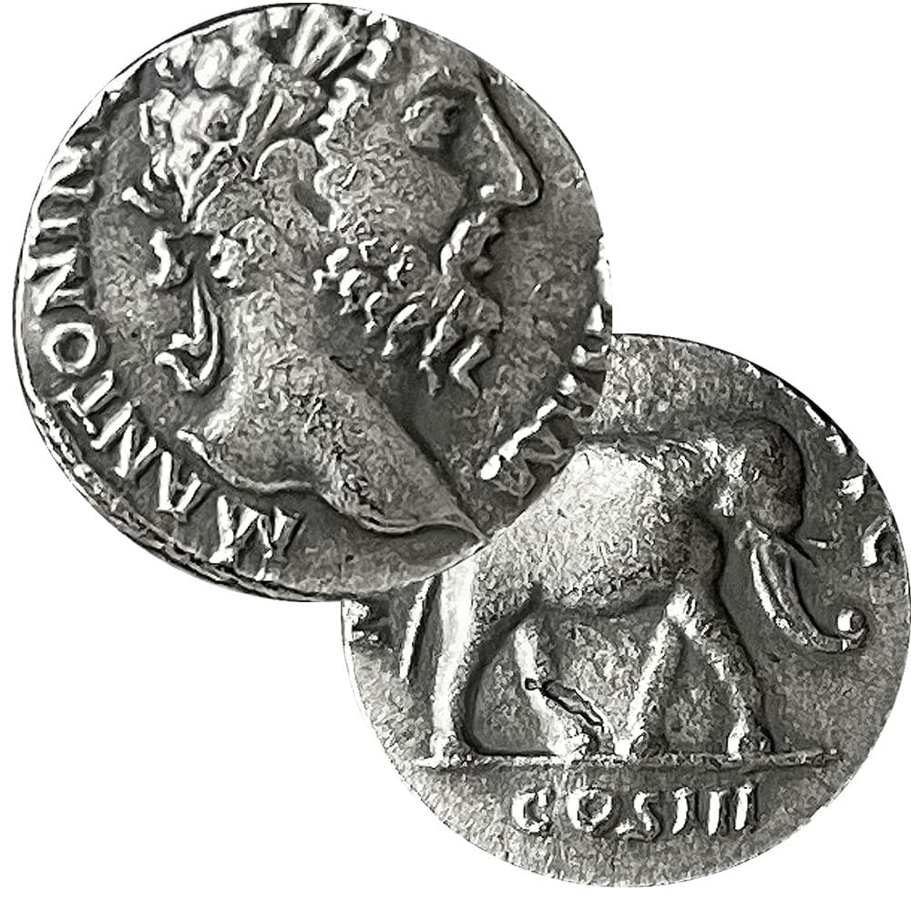 Aurelius elephant 16mm