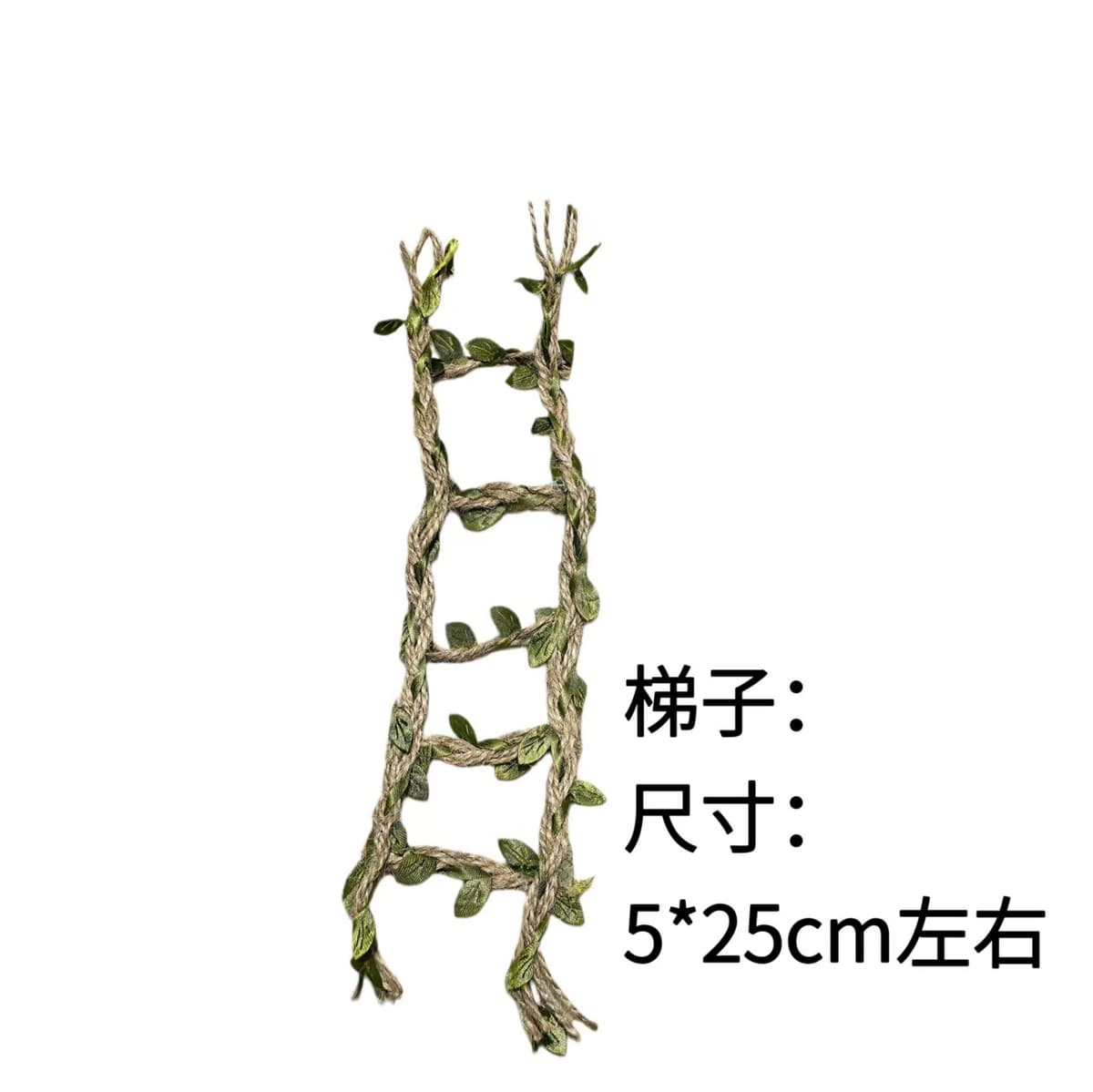 Ladder