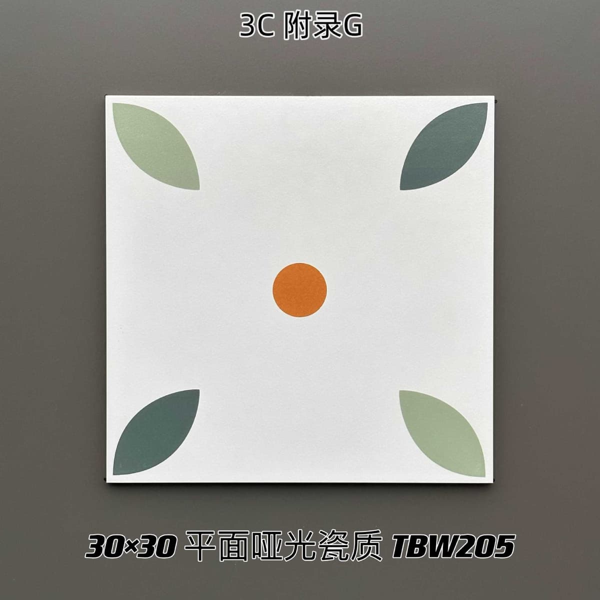 TBW205(300x300)