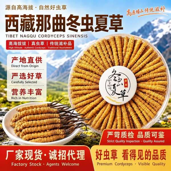 Cordyceps sinensis dried Cordyceps Xizang Cordyceps sinensis source wholesale recruitment agent traditional tonic