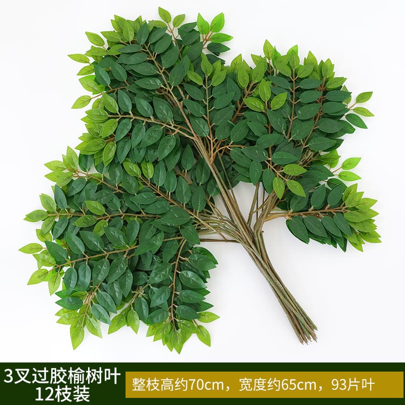 3 fork gum elm leaves