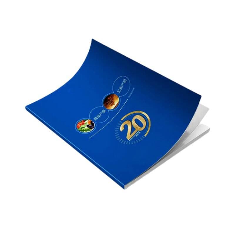 Hardcover Brochure, Catalog Printing, Color Pages, 70% off Pages, Hardcover Product Catalog, Instruction Manual, Dongguan Printing Manufacturer 5