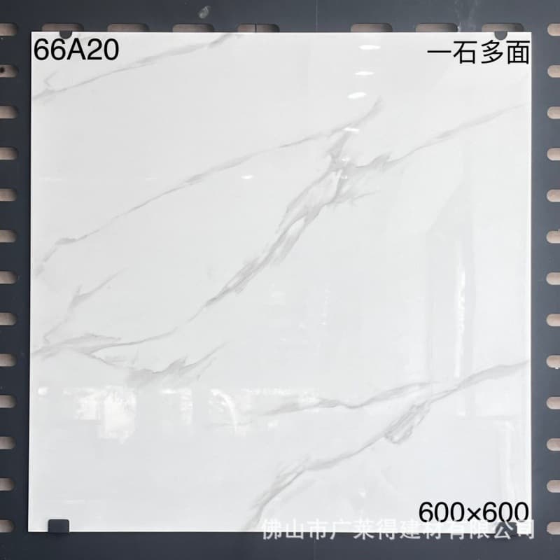 66A20