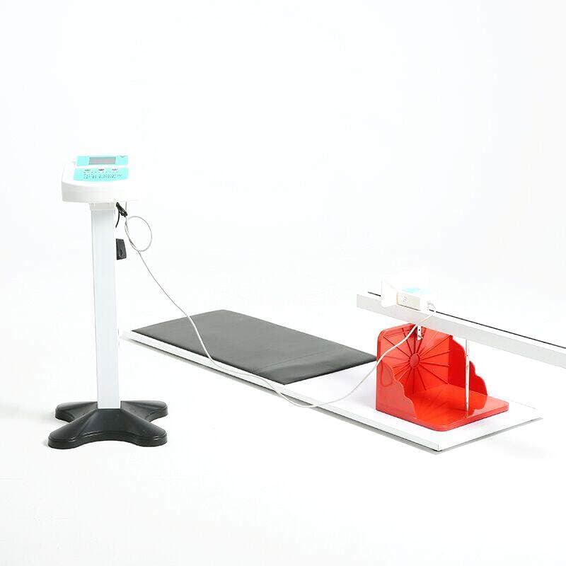 Hj201 Model Electronic Seated Forward Bend Tester for Middle School Entrance Exam Training Device 5