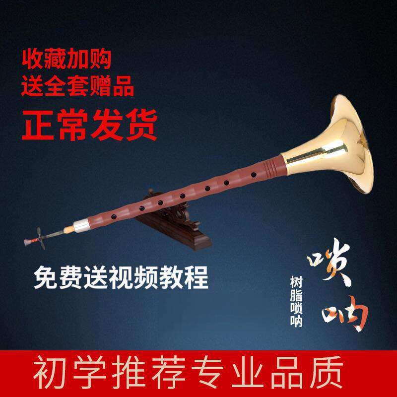 Redwood Ebony Ebony suona full set of beginners adult introductory d-key national medium playing horn 3