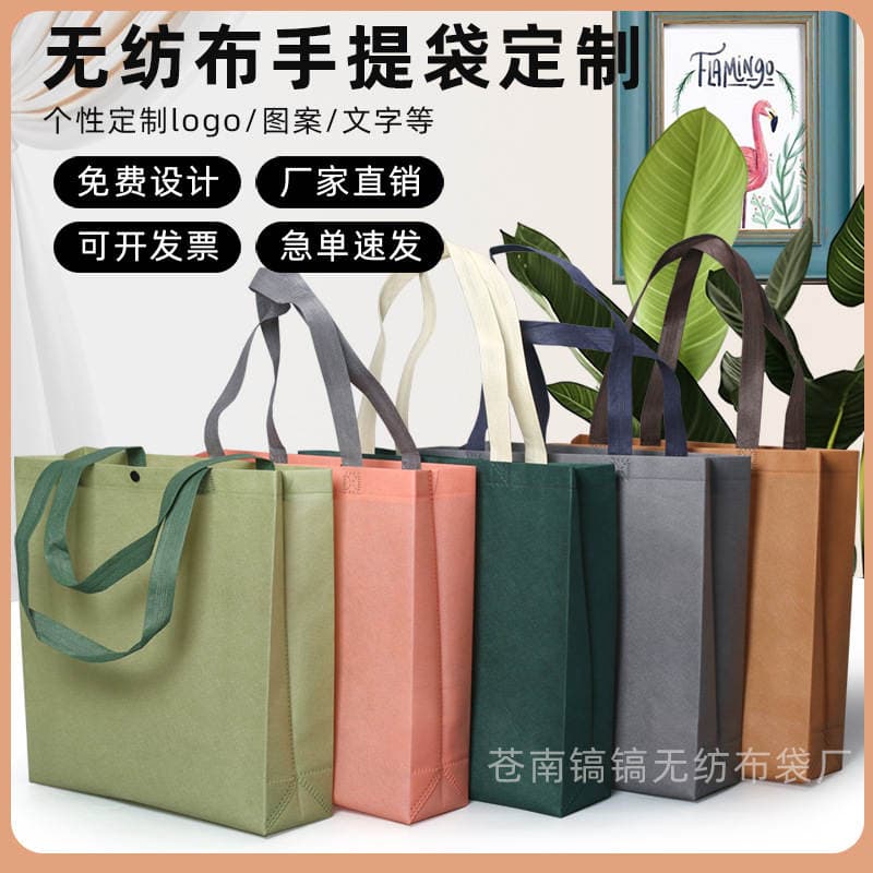 Internet Celebre Clothing Store Women's Clothing Hidden Buckle Non-woven Handbag Environmentally Friendly Shopping Clothes Handbag Printed LOGO 1