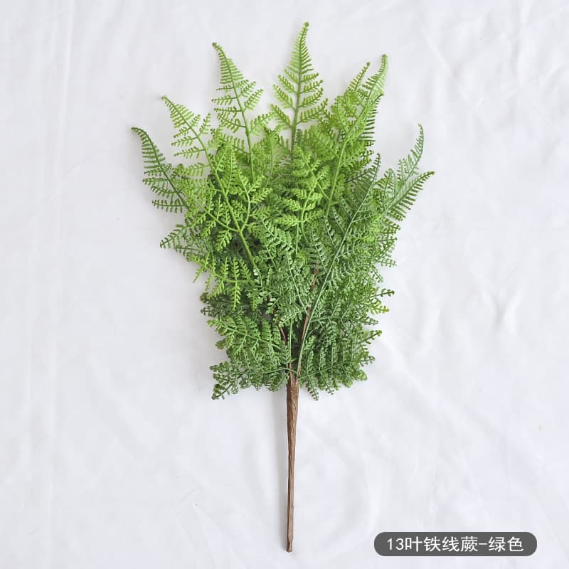 13-leaf adiantum fern