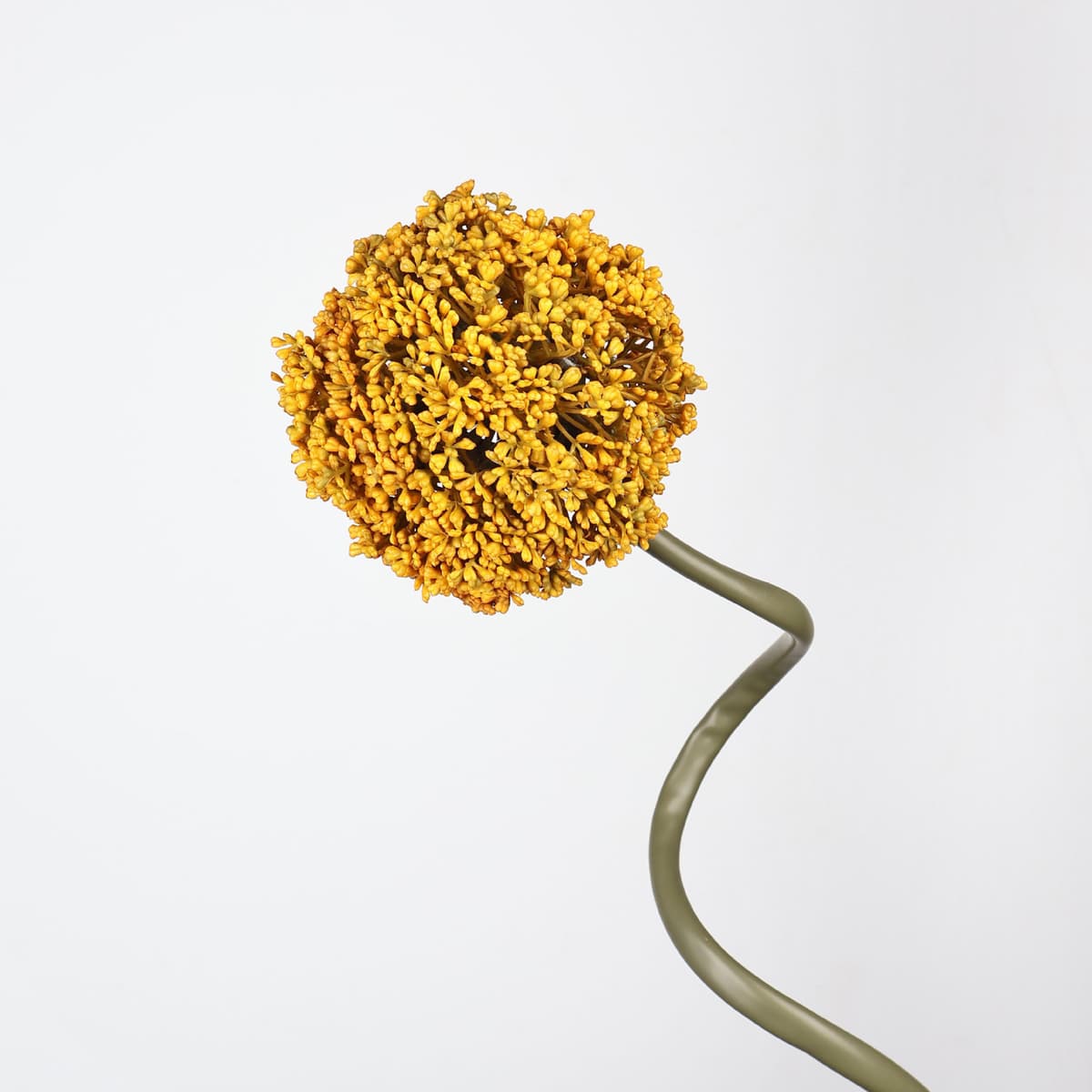 Mustard yellow