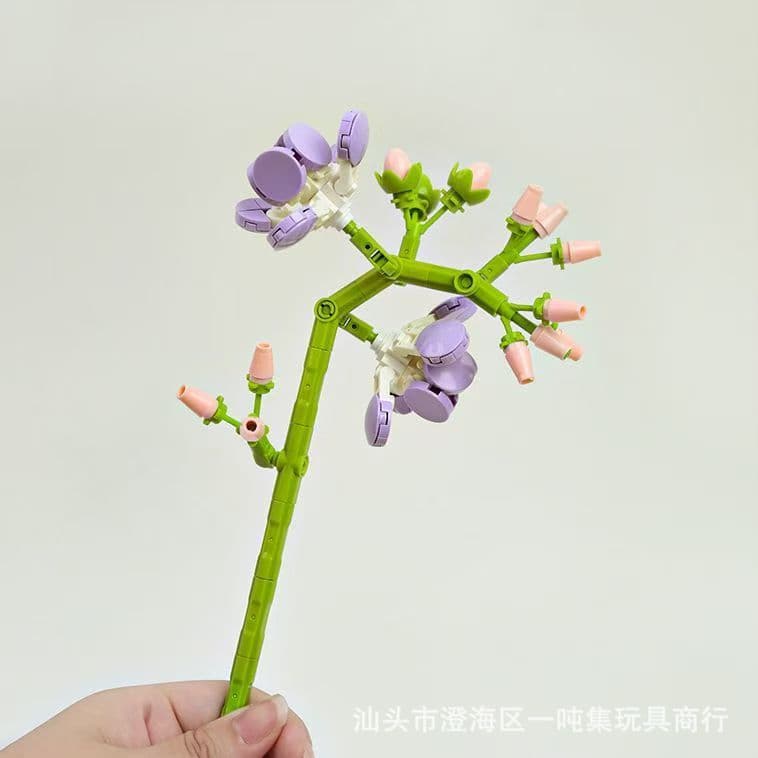 Alyssum