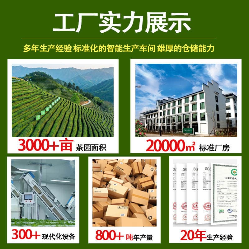 High-Quality Jasmine Green Tea, Milk Tea Shop Specialty Fruit Tea, Lemon Tea Raw Materials, Same Style as Chain Stores, Wholesale Tea Leaves 4