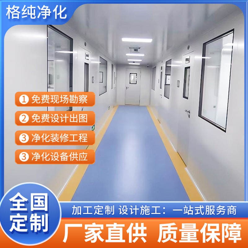 Purification Workshop Engineering Manufacturer Dust-Free Workshop Decoration 30,000 Level 100,000 Level 1,000 Level 100 Level Workshop Project 1