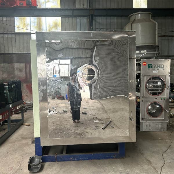 Used 8 square meter freeze dryer for sale, snack freeze drying equipment, used vacuum freeze dryer