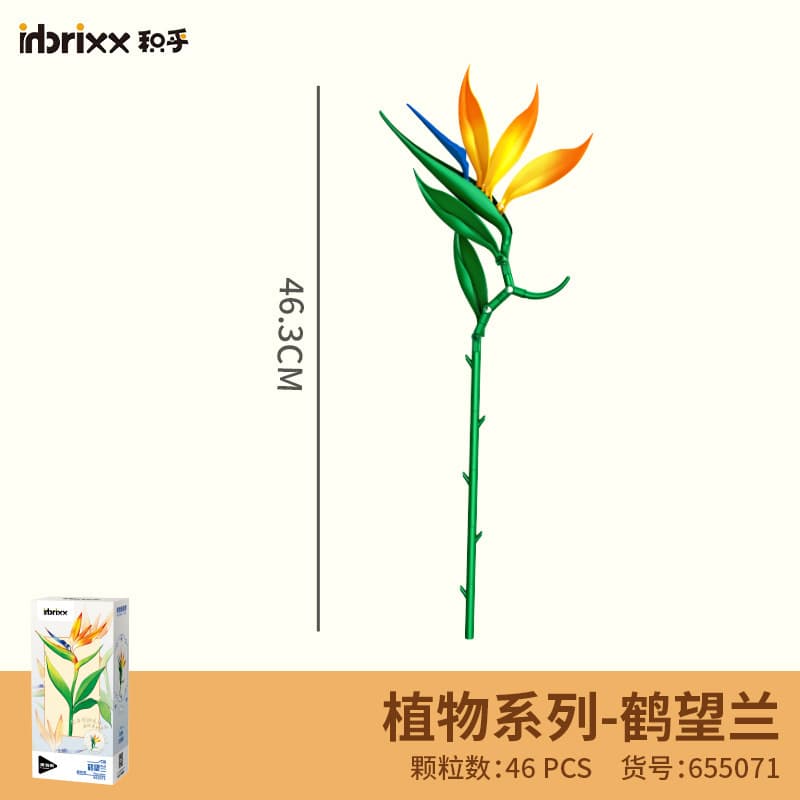 655071 strelitzia reginae