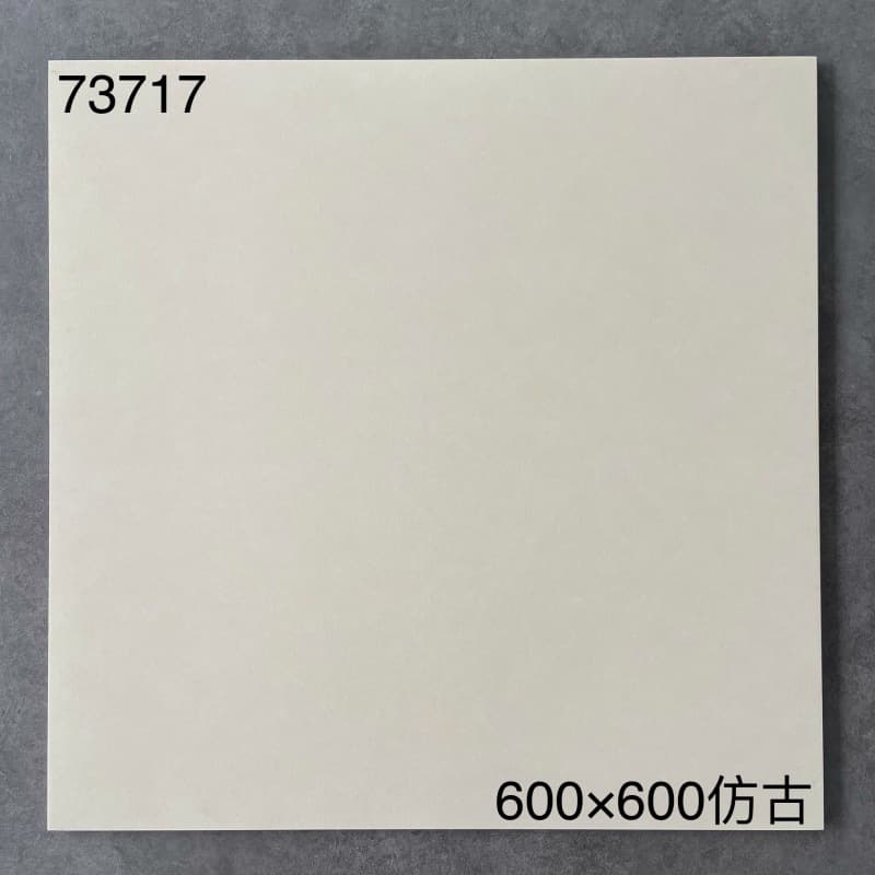 73717