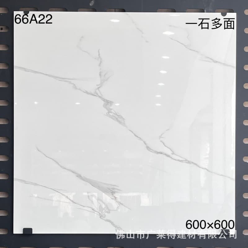 66A22