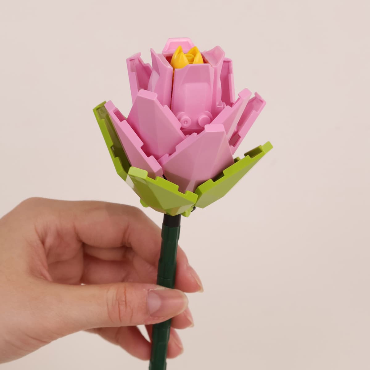 Magnolia