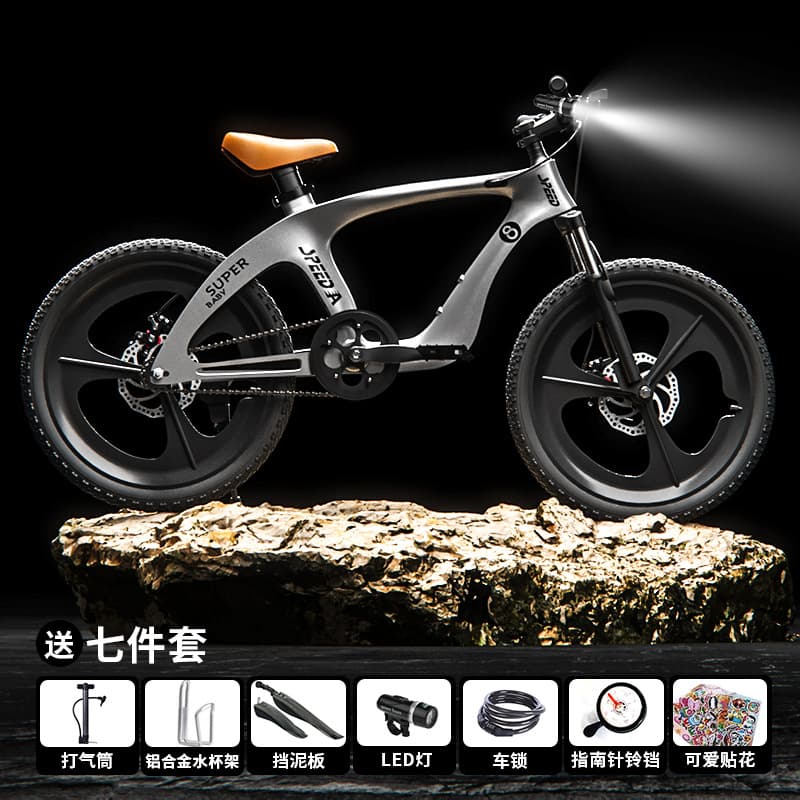 Tianwang magnesium alloy bicycle Silver + gift bag