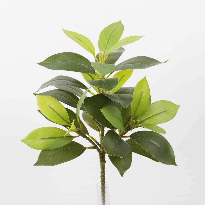 35-leaf gray Liye [Green]]