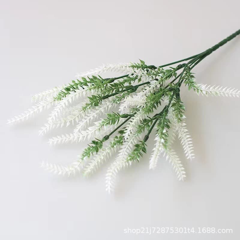 5 fork wheat ear White]