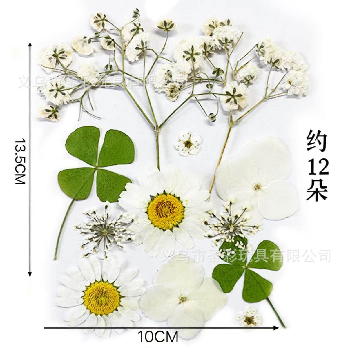 Dried flower material package (white)