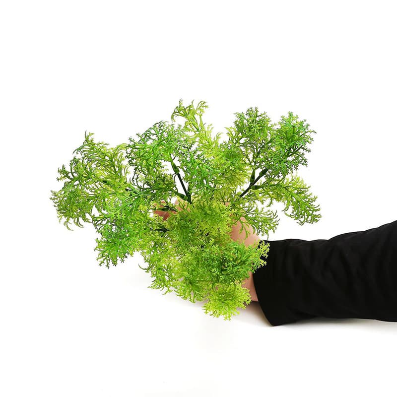 Seaweed Green