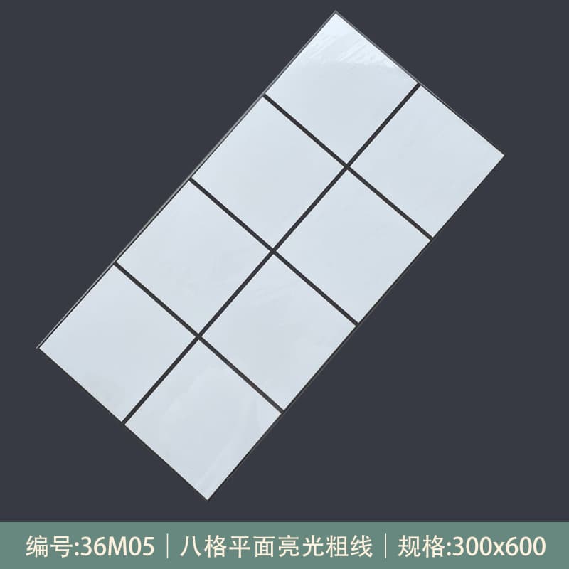 36M05 [glossy style]]