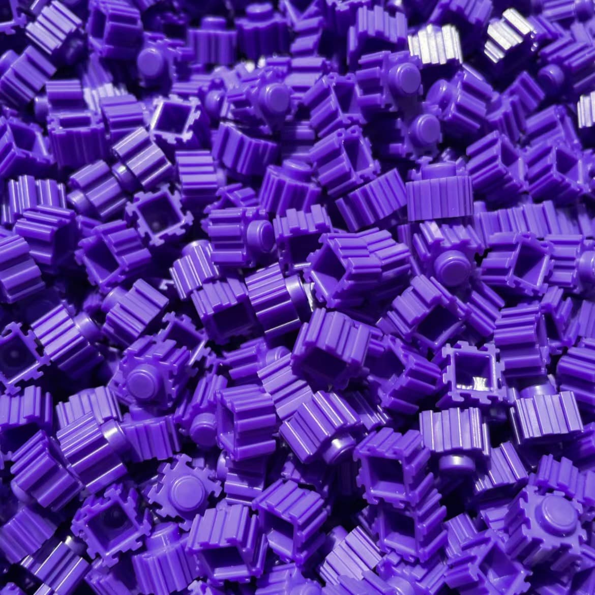 Purple 100g