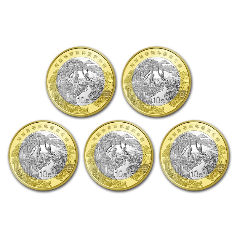 Tropical rainforest-5 pieces (send small round box)