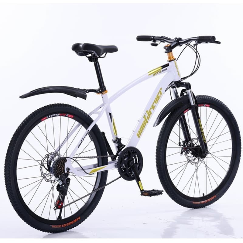 Hr-660 white gold spoked wheel