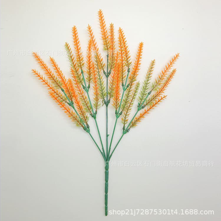[5 forks of wheat ears autumn colors]