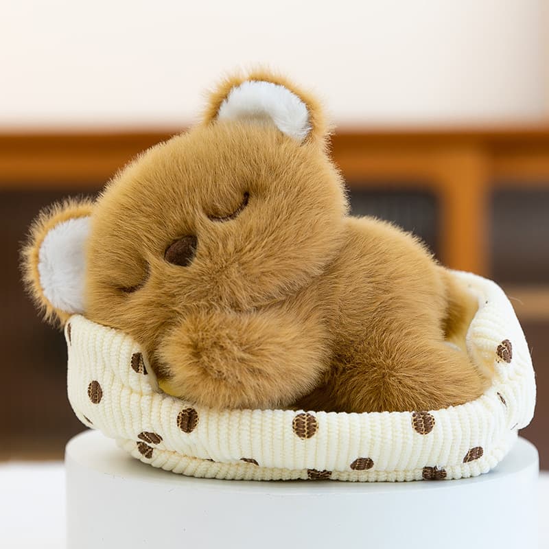 Brown bear