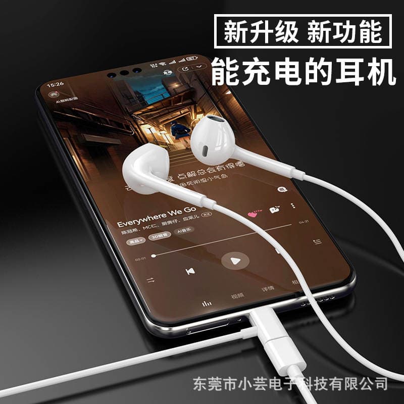 Rəqəmsal Dekodlaşdırma Type-C Naqilli Qulaqlıq (Apple 15, Vivo, Huawei, Oppo üçün) 2