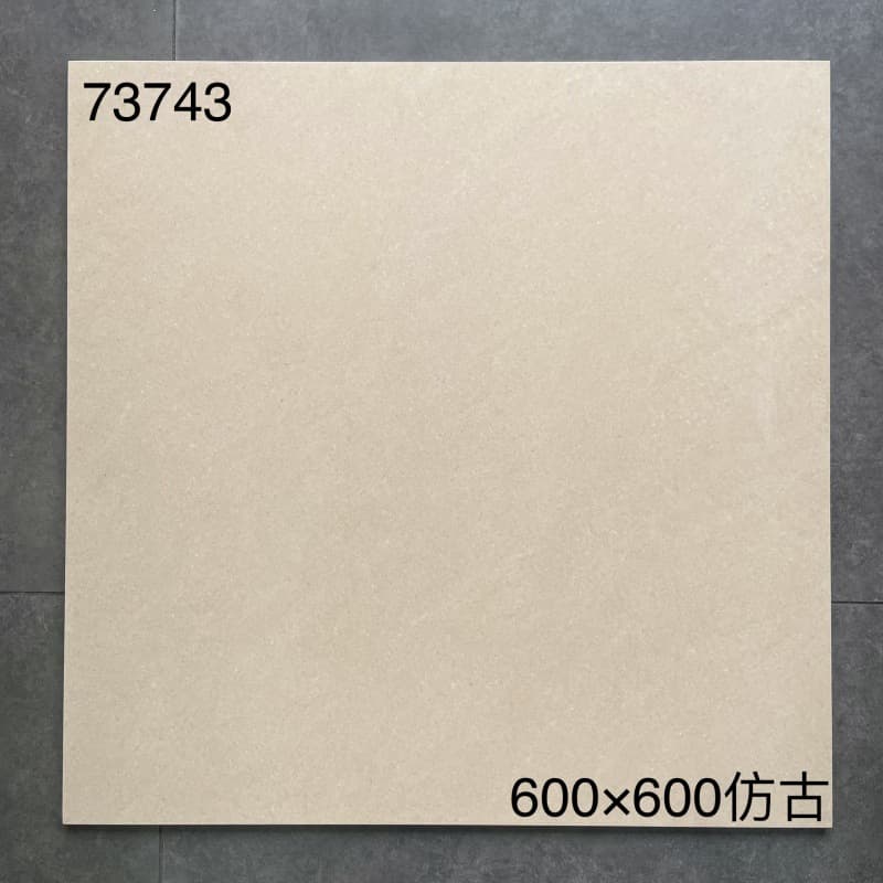 73743