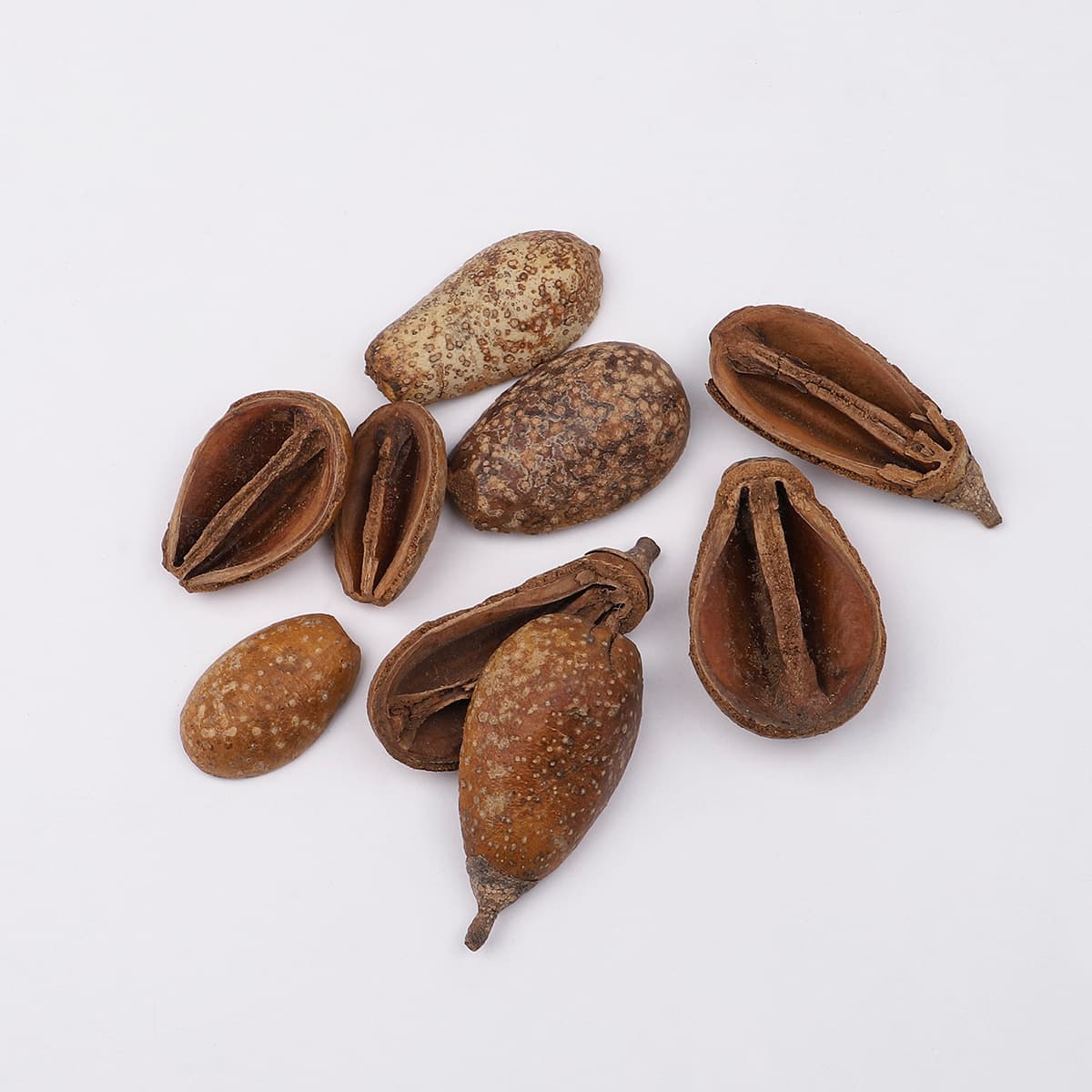 Pear fruit/single piece