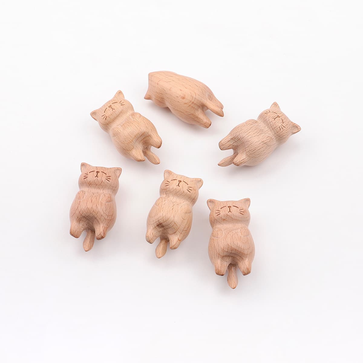 Beech wood [rotting cat about 5.8cm] has been drilled/single