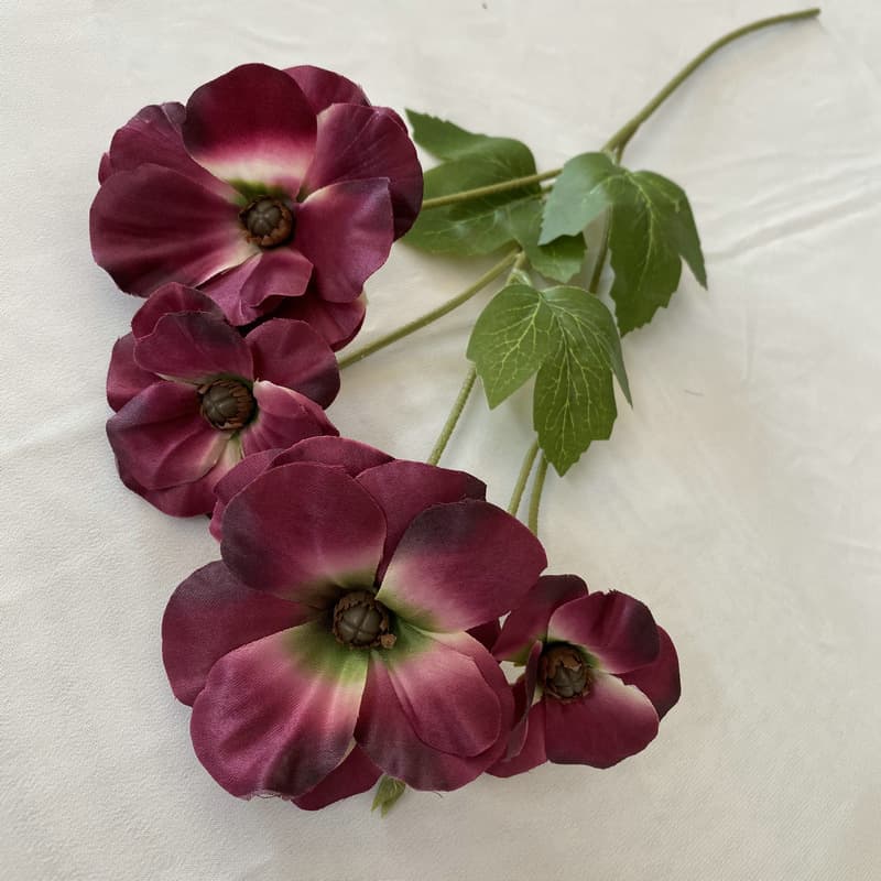 Purple rose red