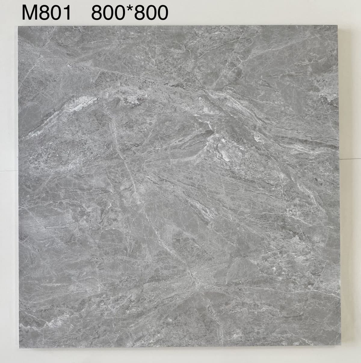 M801
