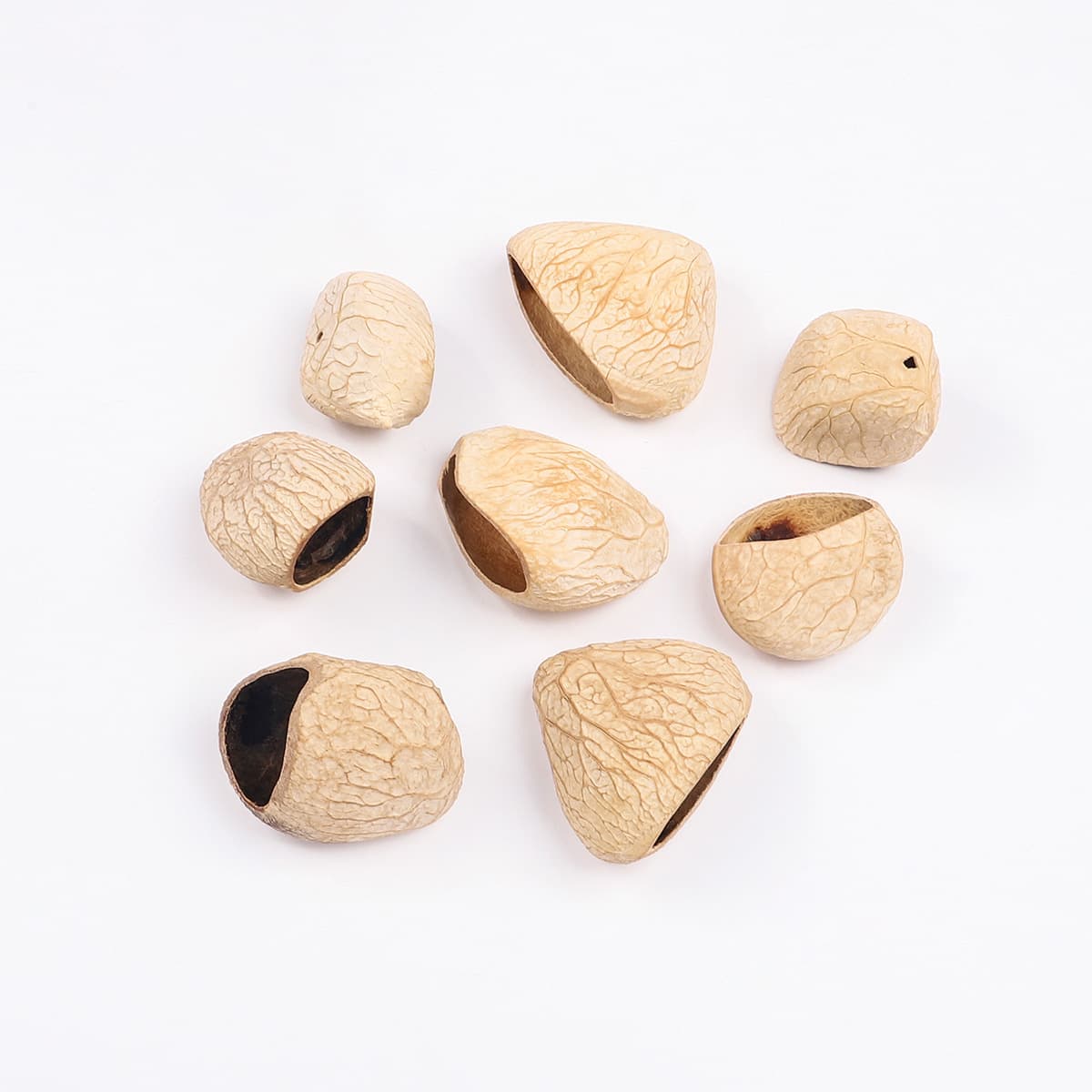 Indonesian black fruit [white] ground [punched]/single