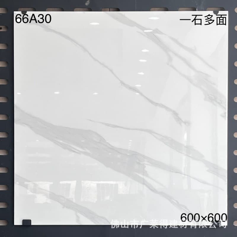 66A30